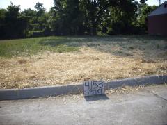 4153 Spruce, Inkster, MI